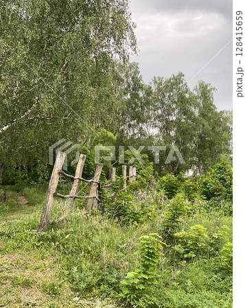 Forest path through lush greenery and wooden fence posts, suitable as a natural background 128415659