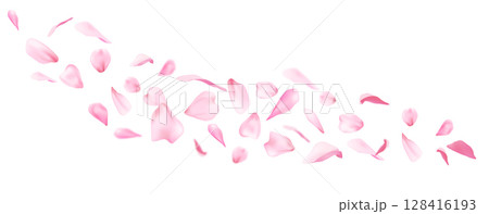 Flying pink sakura petals scattered in wind Flying pink sakura petals scattered in wind 128416193