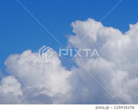 夏 夏 128416256