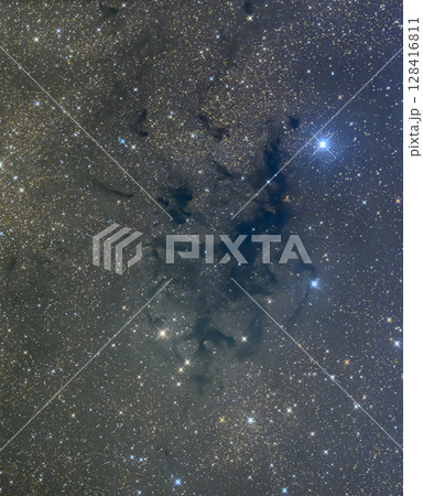 わし座　LDN673暗黒星雲 128416811