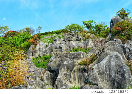 カルスト台地から見上げるカルストの情景 128416873