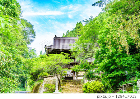 【世界遺産 石見銀山遺跡とその文化的景観】【重伝建】大森銀山　初夏の勝源寺の山門1　島根県大田市 128417015