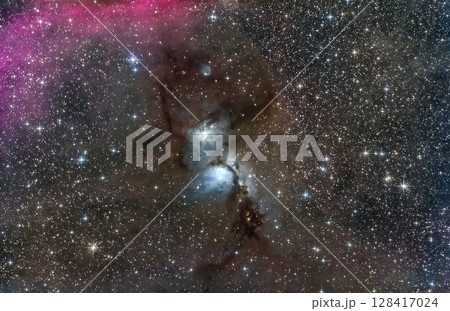 オリオン座　M78星雲 128417024