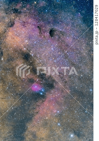 天の川　バンビの首飾り 128417029