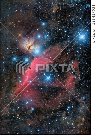 馬頭星雲 128417031