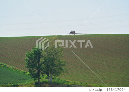 夏の北海道 剣淵町 丘陵の麦畑と送電線 夏の北海道 剣淵町 丘陵の麦畑と送電線 128417064