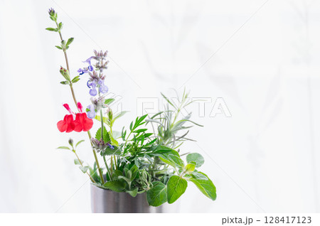 部屋に飾ったハーブ 128417123