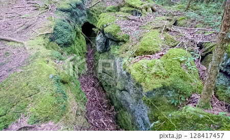 青木ヶ原樹海で溶岩が塊り倒れた木が燃えて穴となった空洞とその周りの溶岩石の岩と苔 128417457