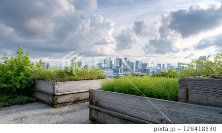Rooftop garden showcases compost bins and thriving microgreens with a distant city skyline and overcast sky 128418530