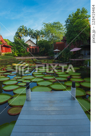 A tranquil pond with large green lily pads, surrounded by tropical vegetation, traditional Thai red wooden buildings, and a moored long tail boat. A tranquil pond with large green lily pads, surrounded by tropical vegetation, traditional Thai red wooden buildings, and a moored long tail boat. 128419464