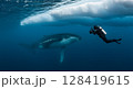 Diver and Whale Near Arctic Ice in Underwater Scene 128419615