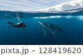 Underwater Scuba Diver and Whale in Arctic Ocean under Ice 128419620