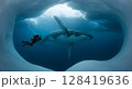 Underwater Diver Swimming with Humpback Whale in Arctic Ocean 128419636