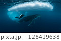 Diver Exploring Underwater Near a Humpback Whale and Iceberg 128419638