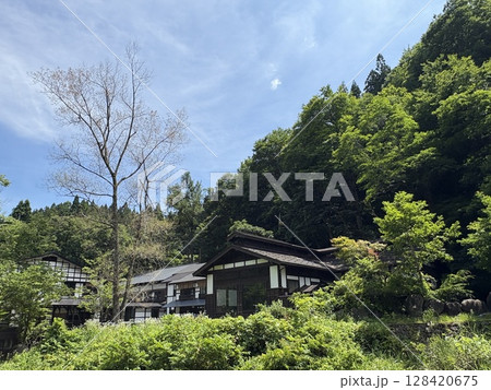貝掛温泉_新緑に包まれる新潟県奥湯沢貝掛温泉 貝掛温泉_新緑に包まれる新潟県奥湯沢貝掛温泉 128420675