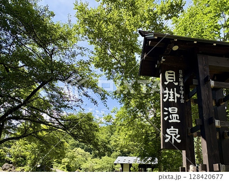 貝掛温泉_新緑に包まれる新潟県奥湯沢貝掛温泉 128420677