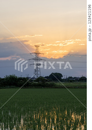 オレンジ色の夕焼け空と送電鉄塔がある田園風景 オレンジ色の夕焼け空と送電鉄塔がある田園風景 128421196