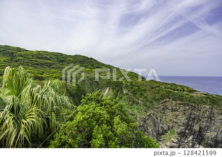 足摺岬 天狗の鼻展望台 高知県土佐清水市 足摺岬 天狗の鼻展望台 高知県土佐清水市 128421599