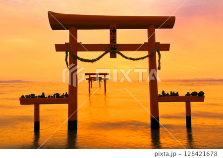 【佐賀県】朝焼けの大魚神社の海中鳥居 128421678
