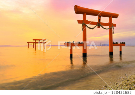 【佐賀県】朝焼けの大魚神社の海中鳥居 128421683