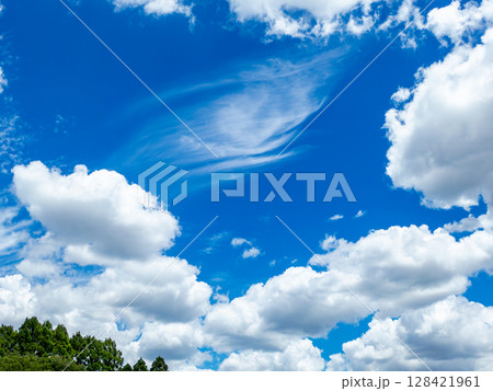 森の木と青空と白い雲 森の木と青空と白い雲 128421961