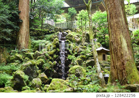 大雄山最乗寺 128422256