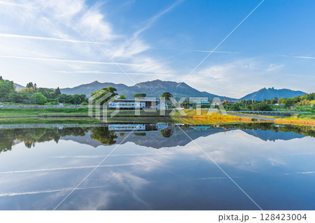 青い空と阿蘇山を背景に映える田んぼリフレクション風景　(阿蘇・南阿蘇村) 128423004