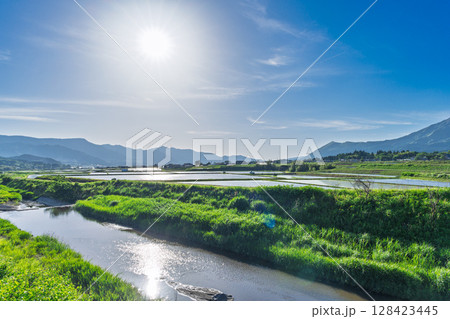 太陽の陽ざしと阿蘇の山並みを背景に映える田園風景 (阿蘇・南阿蘇村) 太陽の陽ざしと阿蘇の山並みを背景に映える田園風景 (阿蘇・南阿蘇村) 128423445