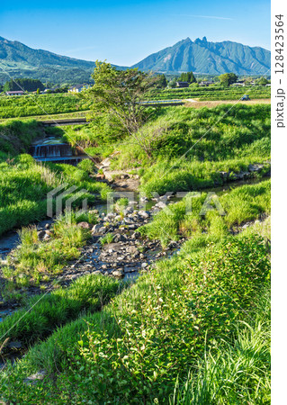 青い空と阿蘇山(根子岳)を背景に映える田園風景　(阿蘇・南阿蘇村) 128423564
