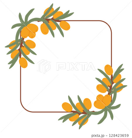 Hand-Drawn Sea Buckthorn Square Frame with Orange Berries and Green Leaves in a Botanical Decorative Design. Hand-Drawn Sea Buckthorn Square Frame with Orange Berries and Green Leaves in a Botanical Decorative Design. 128423659