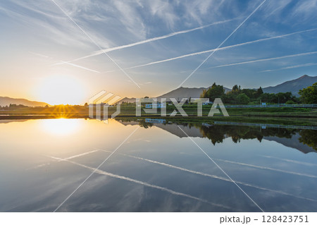 夕焼け光芒と阿蘇山を背景に映える絶景リフレクション風景 (阿蘇・南阿蘇村) 夕焼け光芒と阿蘇山を背景に映える絶景リフレクション風景 (阿蘇・南阿蘇村) 128423751