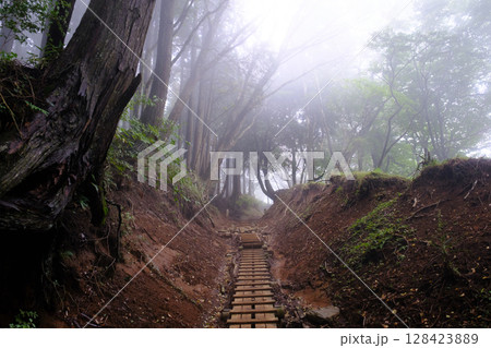大山登山道 大山登山道 128423889