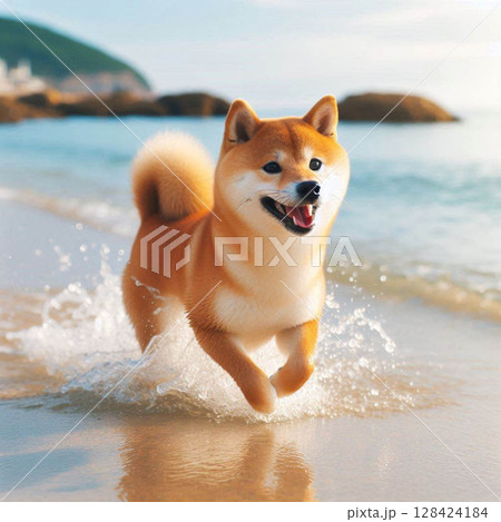 夏の海辺を走る柴犬 128424184