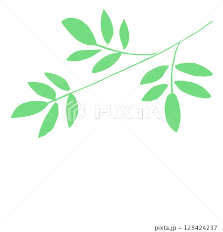笹の葉の枝のクローズアップ イラスト／Close-up of Bamboo Leaves Branc 128424237
