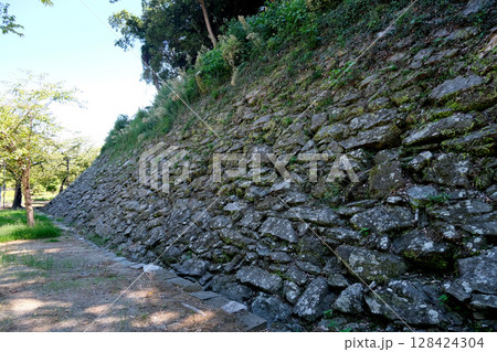 和歌山県和歌山市_和歌山城石垣7_2024年9月 128424304