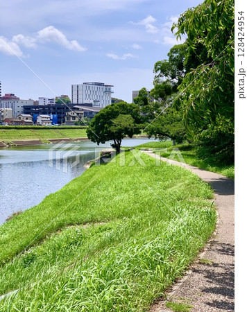 新緑と青空に彩られたオトリバーサイドテラス〈乙川河川緑地/愛知県岡崎市〉 新緑と青空に彩られたオトリバーサイドテラス〈乙川河川緑地/愛知県岡崎市〉 128424954
