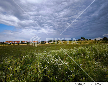 Wildflower Meadow With White Daisies Under Dramatic Sky: Blooming Field Near Village With Storm Clouds In The Background Wildflower Meadow With White Daisies Under Dramatic Sky: Blooming Field Near Village With Storm Clouds In The Background 128425280