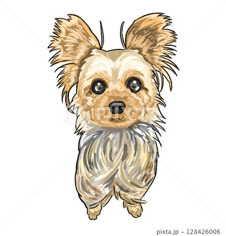 ヨークシャーテリア ヨークシャーテリア 128426006