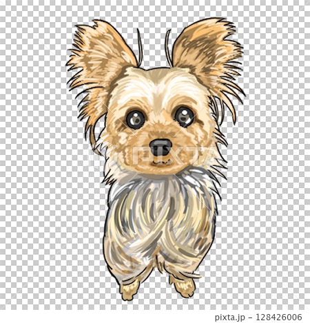 Yorkshire terrier  128426006
