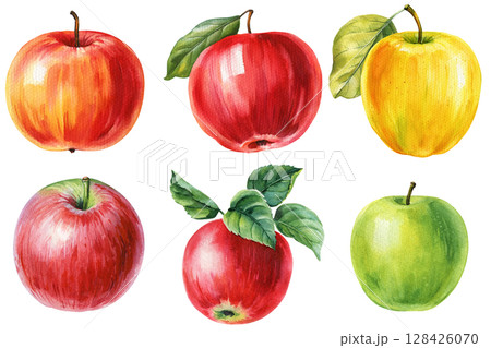 Watercolor apples set with green red yellow fruit and leaves hand painted autumn harvest clipart for food packaging and decor 128426070