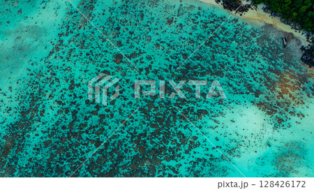 Aerial view of coral reef in sea shore Aerial view of coral reef in sea shore 128426172