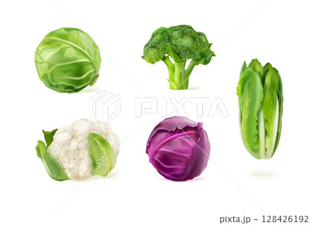 Realistic cabbages. 3d white cabbage isolated set, green romaine lettuce lettuce cauliflower kale salad leaf broccoli vegetable vegan farm kitchen food, exact vector illustration 128426192