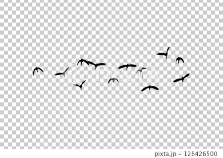 Bird sillhouette Flock black birds. Flocks of flying pigeons isolated on background. Save with clipping path. flying birds formation of pigeons many isolated for backgound PNG 128426500