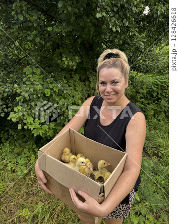 A woman holds a cardboard box with ducklings. Backyard poultry farming. A woman holds a cardboard box with ducklings. Backyard poultry farming. 128426618
