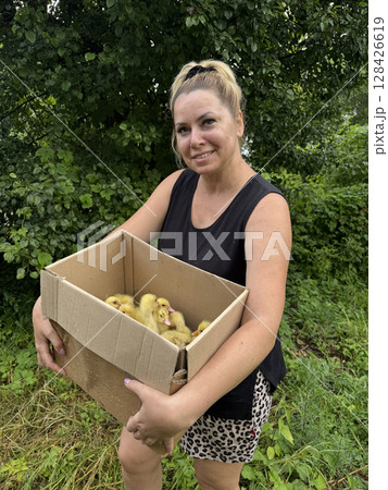 A woman holds a cardboard box with ducklings. Backyard poultry farming. A woman holds a cardboard box with ducklings. Backyard poultry farming. 128426619
