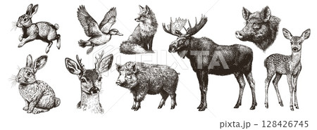 wild animals engraving. rabbit duck fox deer roe deer wild boar elk, venison game meat bird mammals hunting hunter prey forest nature vector illustration wild animals engraving. rabbit duck fox deer roe deer wild boar elk, venison game meat bird mammals hunting hunter prey forest nature vector illustration 128426745