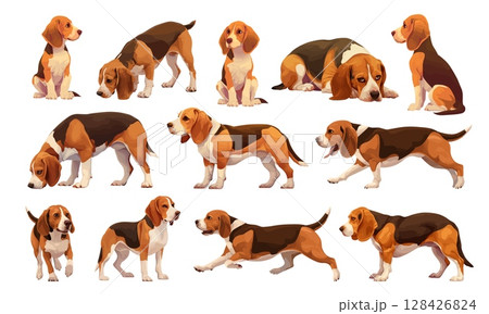 beagle dogs cartoon set. dog hunting breed, domestic animal red brown spotted long ears runs lies sits puppy pet vector illustration 128426824