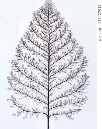 Elegant Bare Tree Branch Winter Nature Minimalist Design Graphic art line twig cold white clean 128427015