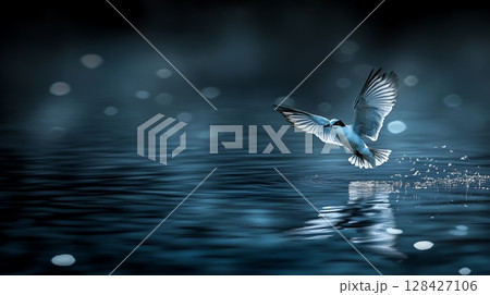 Serene White Bird Flying Over Dark Blue Water Peaceful Nature Scene Wildlife Photography sky art sea 128427106
