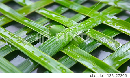Vibrant Green Leaf Mat Texture Background Nature Design Fresh Lush Pattern eco wet spa mesh grid 128427266